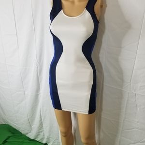 Bodycon Three-Toned Dress